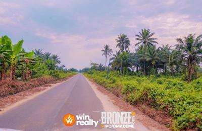 Bronze City Estate By Win Realty At IPO