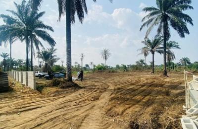 What To Do Before Buying A Land In Port Harcourt, Lagos or Abuja